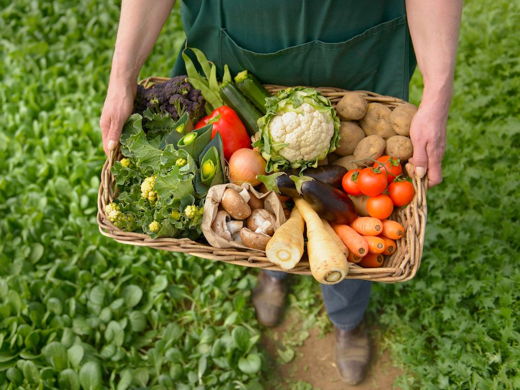 Viskas, ką reikia žinoti apie ekologišką maistą. Ar tikrai ekologiškas maistas maistingesnis už paprastą organišką?