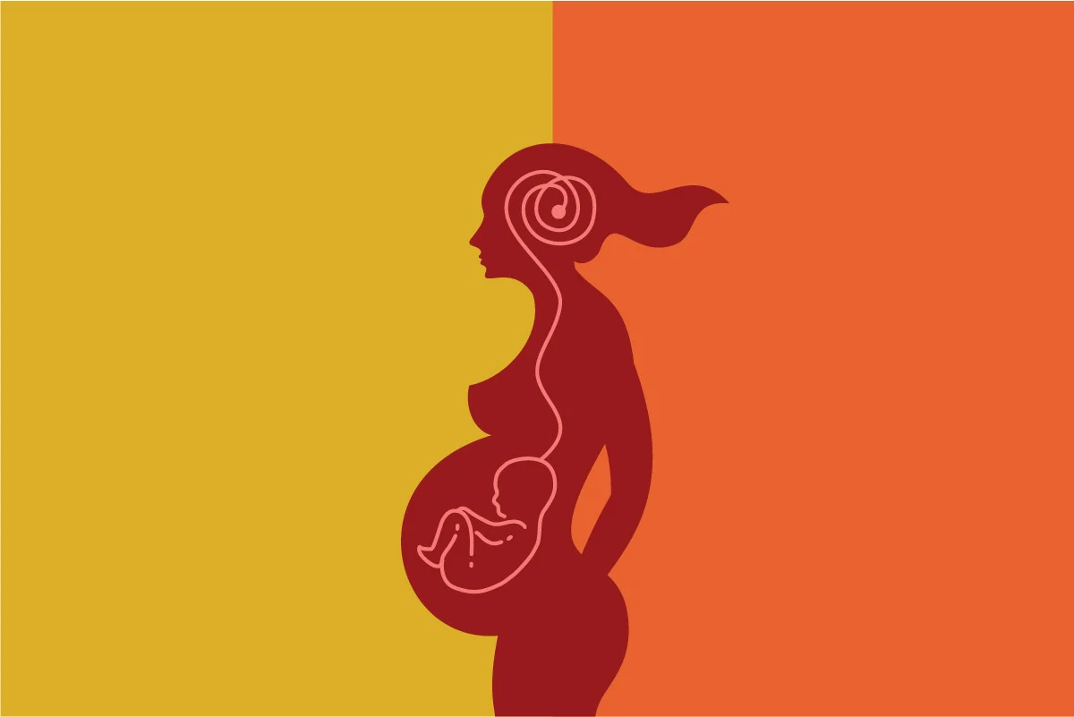 Nėštumo įtaka moterų smegenų struktūrai: įdomūs faktai ir tyrimai