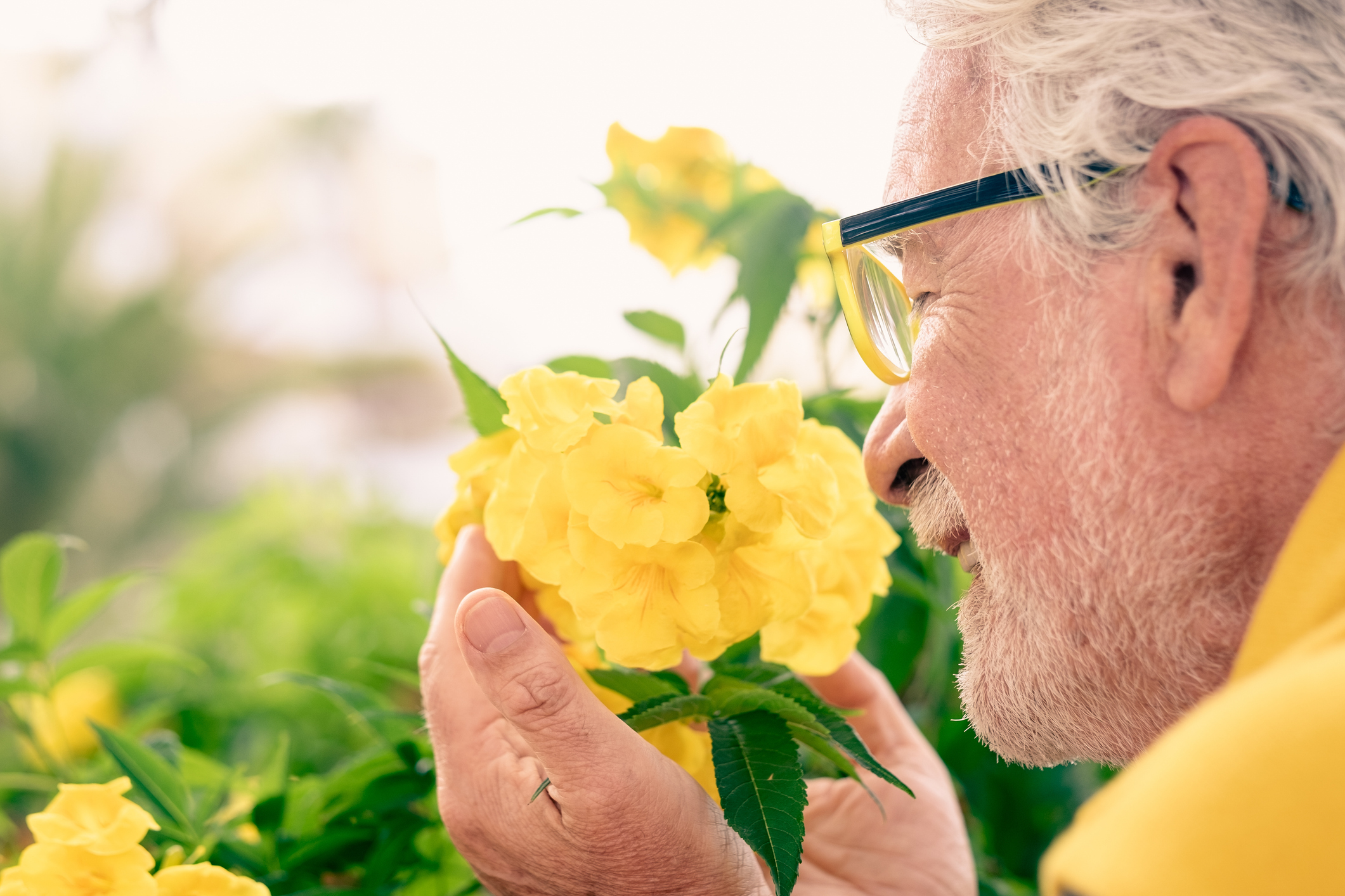 Alzheimerio genų turintys žmonės pirmiausia gali prarasti uoslę